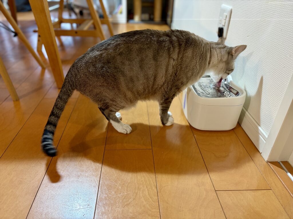 自然な姿勢で水を飲める