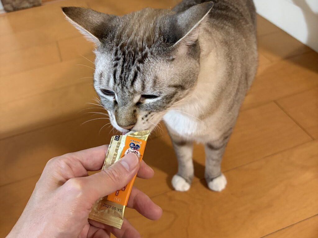 ノエル先生の食いつきよし!